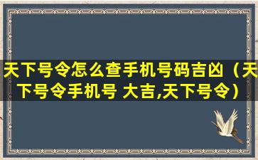 天下号令怎么查手机号码吉凶（天下号令手机号 大吉,天下号令）